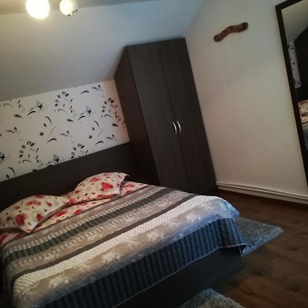 Casa Raul Βίλα Rucăr Εξωτερικό φωτογραφία