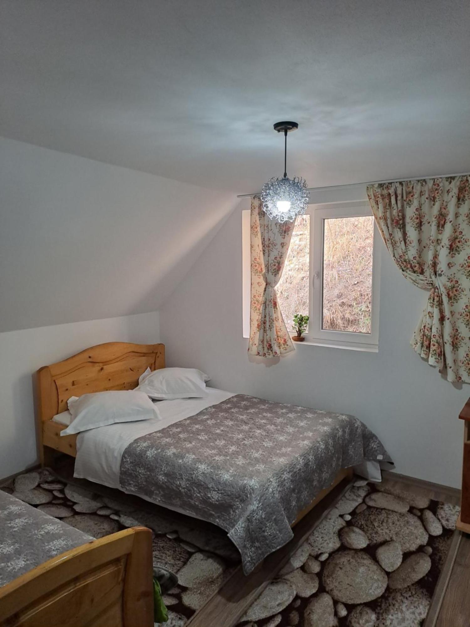 Casa Raul Βίλα Rucăr Εξωτερικό φωτογραφία