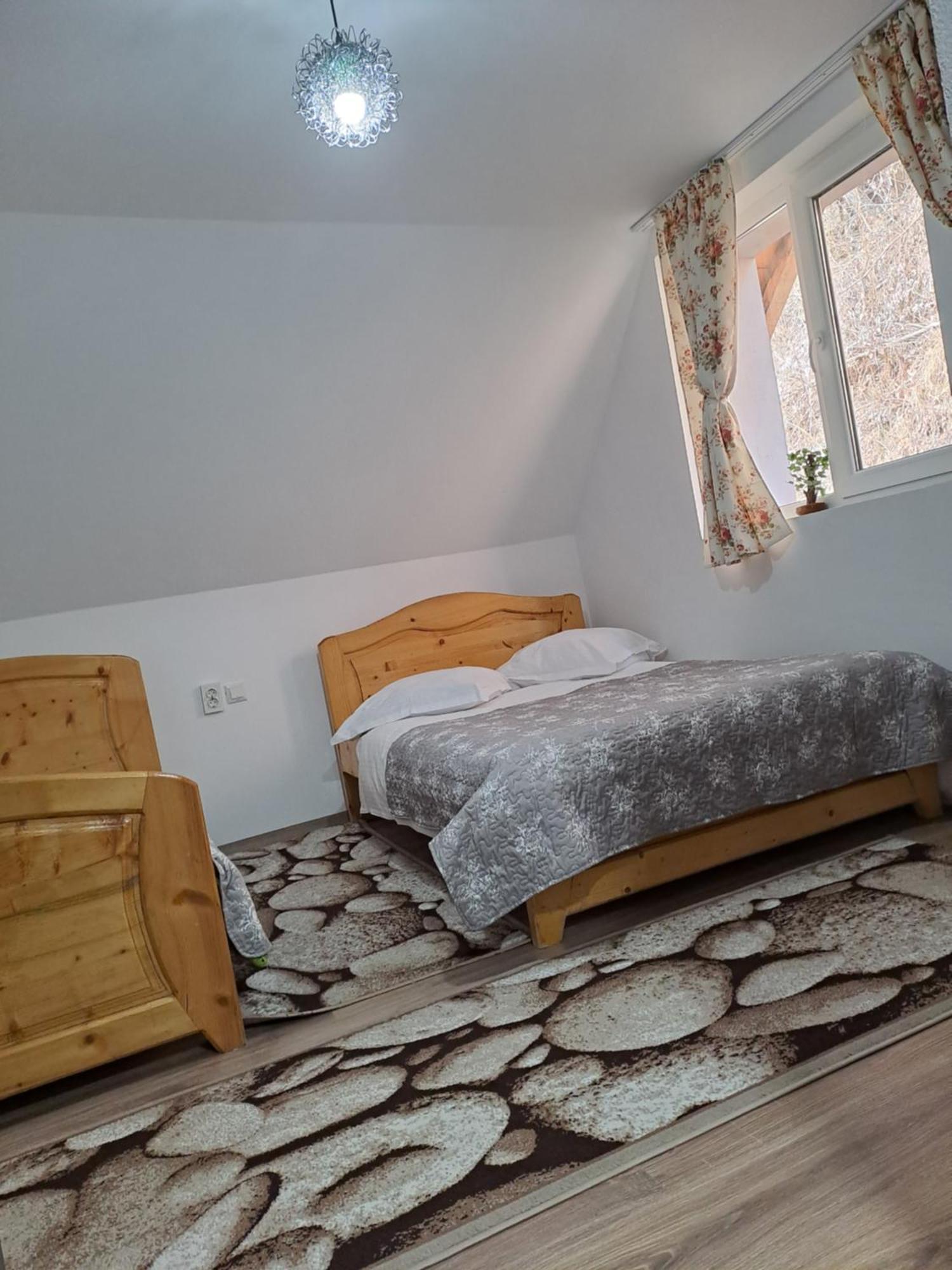Casa Raul Βίλα Rucăr Εξωτερικό φωτογραφία